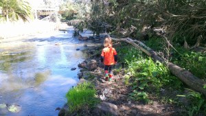 A leading me along Merri Creek