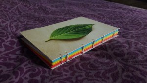Handbound coptic stitch journal with postcard covers