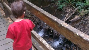 Small waterfalls at Wirrawilla